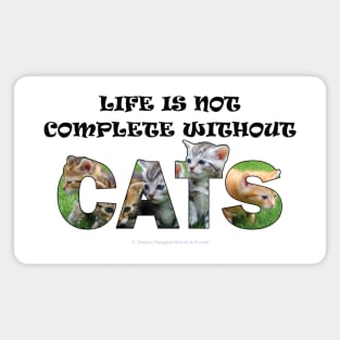 Life is not complete without cats - kittens oil painting word art Magnet